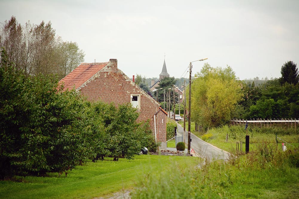 Binderveld